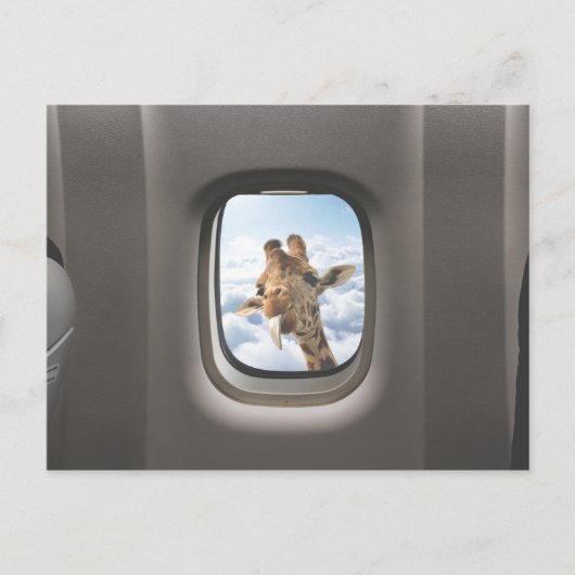 Funny Giraffe Briefkaart (Voorkant)