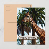 Funny Giraffe die een frambozen geeft, Briefkaart (Voorkant / Achterkant)