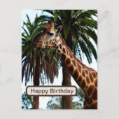 Funny Giraffe die een frambozen geeft, Briefkaart (Voorkant)