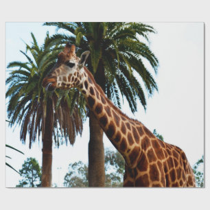 Funny Giraffe die een frambozen geeft, Cadeaupapier