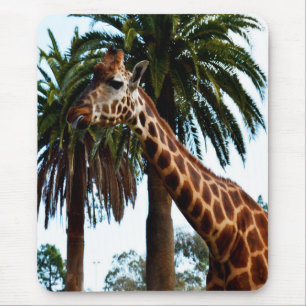 Funny Giraffe die een frambozen geeft, Muismat