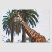Funny Giraffe die een frambozen geeft, Tissuepapier (Voorkant)