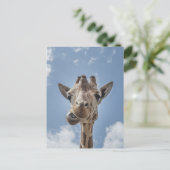 Funny Giraffe Face Close-up Fotografie Briefkaart (Staand voorkant)