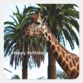 Funny Giraffe Giving A Raspberry Birthday Sickers Vierkante Sticker (Voorkant)