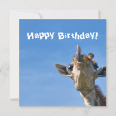 Funny Giraffe Happy Birthday Kaart (Voorkant)