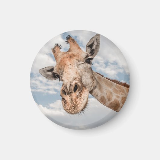 Funny Giraffe Magneet (Voorkant)