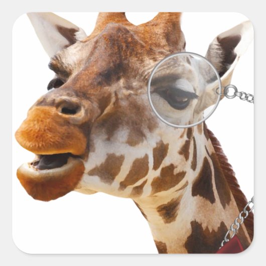 Funny Giraffe met Bowtie en Monocle Vierkante Sticker (Voorkant)