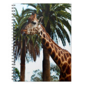 Funny Giraffe Raspberry Notitieboek (Voorkant)
