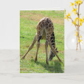 Funny Giraffe Wenskaart (blanco binnenin) Kaart (Gele Bloem)