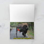 Funny Give Me A Break Bison Bull Christmas Feestdagen Kaart (Binnen)