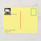 Funny glimlachen Dog Shiba in wat sociale angst Briefkaart (Achterkant)