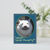 Funny glimlachen Dog Shiba in wat sociale angst Briefkaart (Staand voorkant)