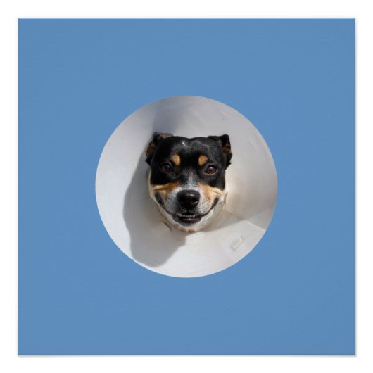 Funny glimlachen poster (Voorkant)