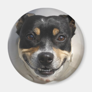 Funny glimlachte hond magneet