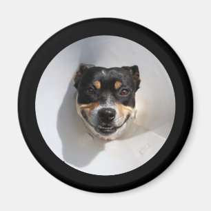 Funny glimlachte hond magneet