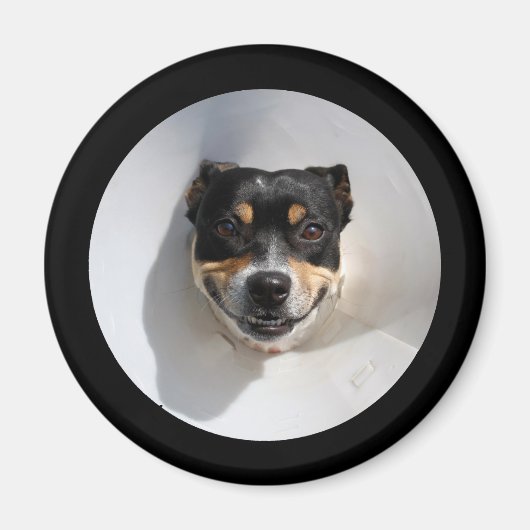 Funny glimlachte hond magneet (Voorkant)