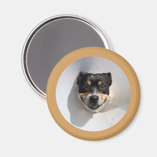 Funny glimlachte hond magneet (Voorkant / Achterkant)