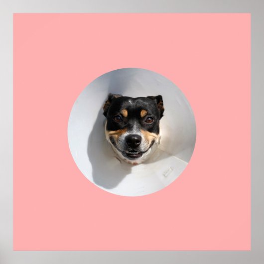 Funny glimlachte hond poster (Voorkant)