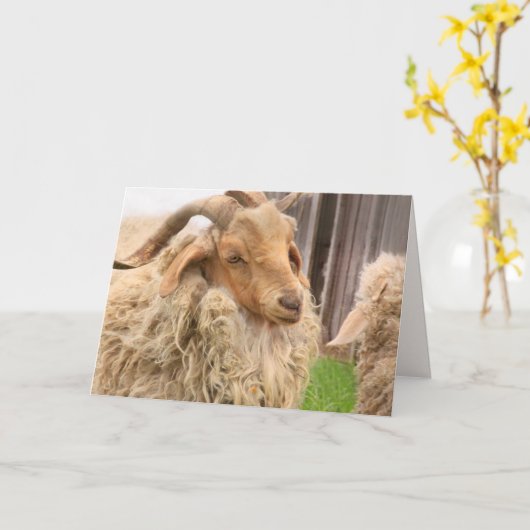Funny Goat and Kind Vaderdag Kaart (Gele Bloem)