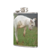 Funny Goat Baby White Goat Jumping in Pasture Heupfles (Links)