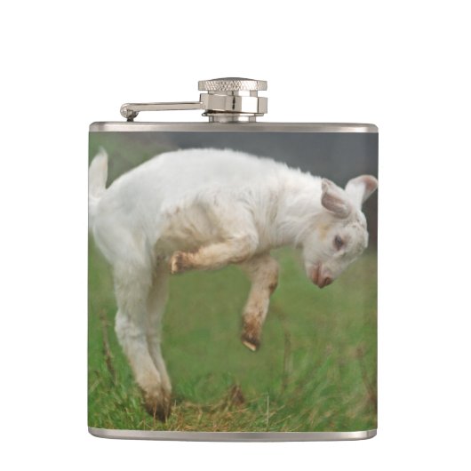 Funny Goat Baby White Goat Jumping in Pasture Heupfles (Voorkant)