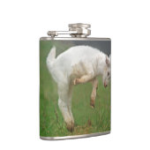 Funny Goat Baby White Goat Jumping in Pasture Heupfles (Rechts)