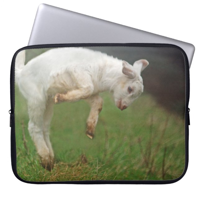 Funny Goat Baby White Goat Jumping in Pasture Laptop Sleeve (Voorkant)