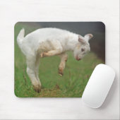 Funny Goat Baby White Goat Jumping in Pasture Muismat (Met muis)