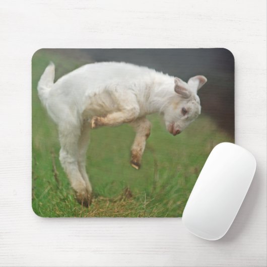 Funny Goat Baby White Goat Jumping in Pasture Muismat (Met muis)