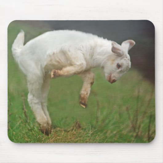 Funny Goat Baby White Goat Jumping in Pasture Muismat (Voorkant)