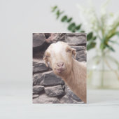 Funny Goat Briefkaart (Staand voorkant)