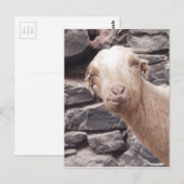 Funny Goat Briefkaart (Voorkant / Achterkant)