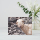 Funny Goat Briefkaart (Staand voorkant)