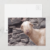 Funny Goat Briefkaart (Voorkant / Achterkant)