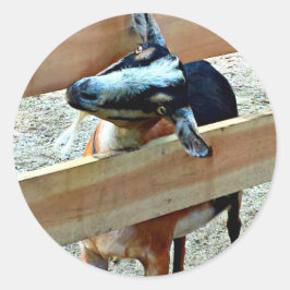 Funny Goat - Datablad of Stickers