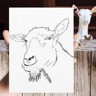 Funny Goat Drawing Briefkaart