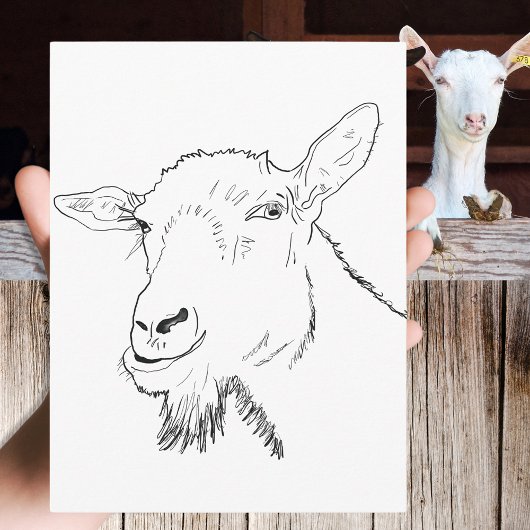Funny Goat Drawing Briefkaart