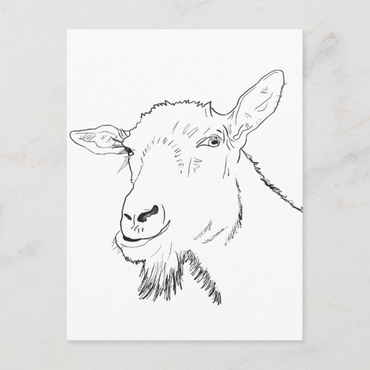 Funny Goat Drawing Briefkaart (Voorkant)