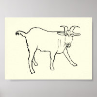 Funny Goat Drawing Quirky Cartoon Animal Art