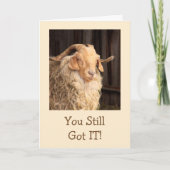 Funny Goat Handsome Devil Birthday Kaart (Voorkant)