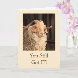 Funny Goat Handsome Devil Birthday Kaart