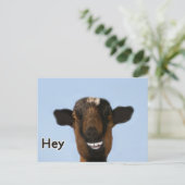 Funny Goat Meme die echt groot Briefkaart glimlach (Staand voorkant)