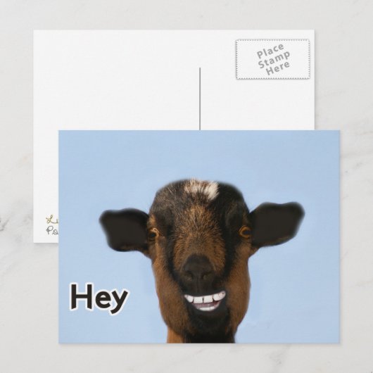Funny Goat Meme die echt groot Briefkaart glimlach (Voorkant / Achterkant)