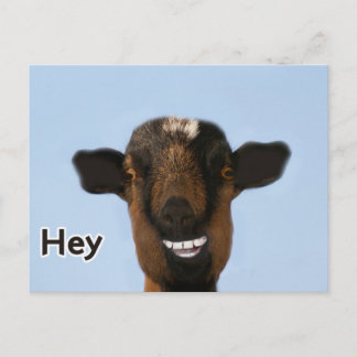 Funny Goat Meme die echt groot Briefkaart glimlach