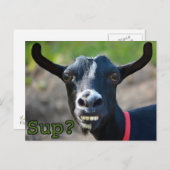 Funny Goat Meme glimlachend groot Briefkaart (Voorkant / Achterkant)