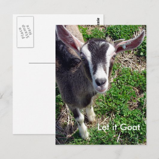 Funny Goat Parody Briefkaart (Voorkant / Achterkant)