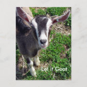 Funny Goat Parody Briefkaart (Voorkant)