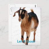 Funny Goat Parody Briefkaart (Voorkant / Achterkant)