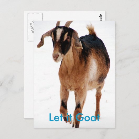 Funny Goat Parody Briefkaart (Voorkant / Achterkant)