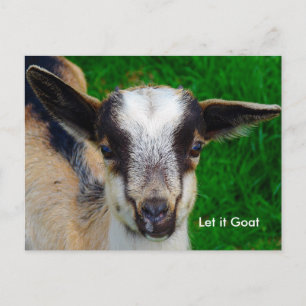 Funny Goat Parody Briefkaart
